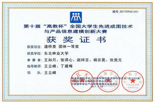 数字建模展锋芒，土木学子勇夺全国成图大赛团体桂冠