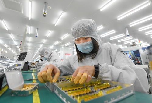 信息技术赋能，武汉都市圈加压奋进打造全国高质量发展新增长极